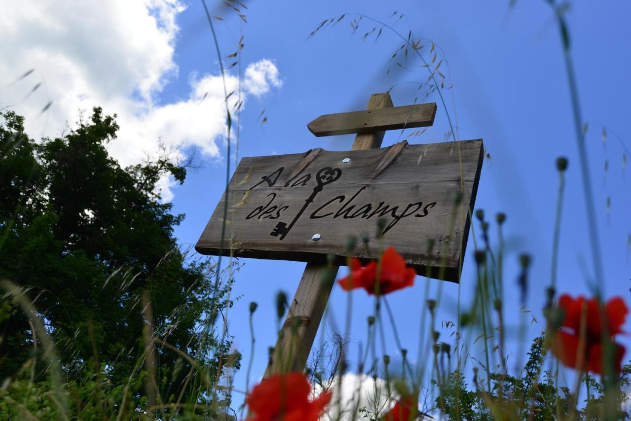 Chambre D'Hotes A La Cle Des Champs Varen エクステリア 写真